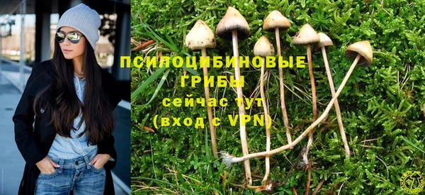прущая мука Белокуриха
