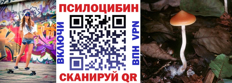Галлюциногенные грибы мицелий  где продают   Вязники 
